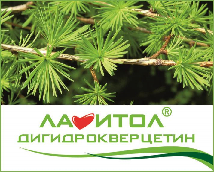 Дигидрокверцетин производства компании «Аметис» торговой марки «Лавитол ...